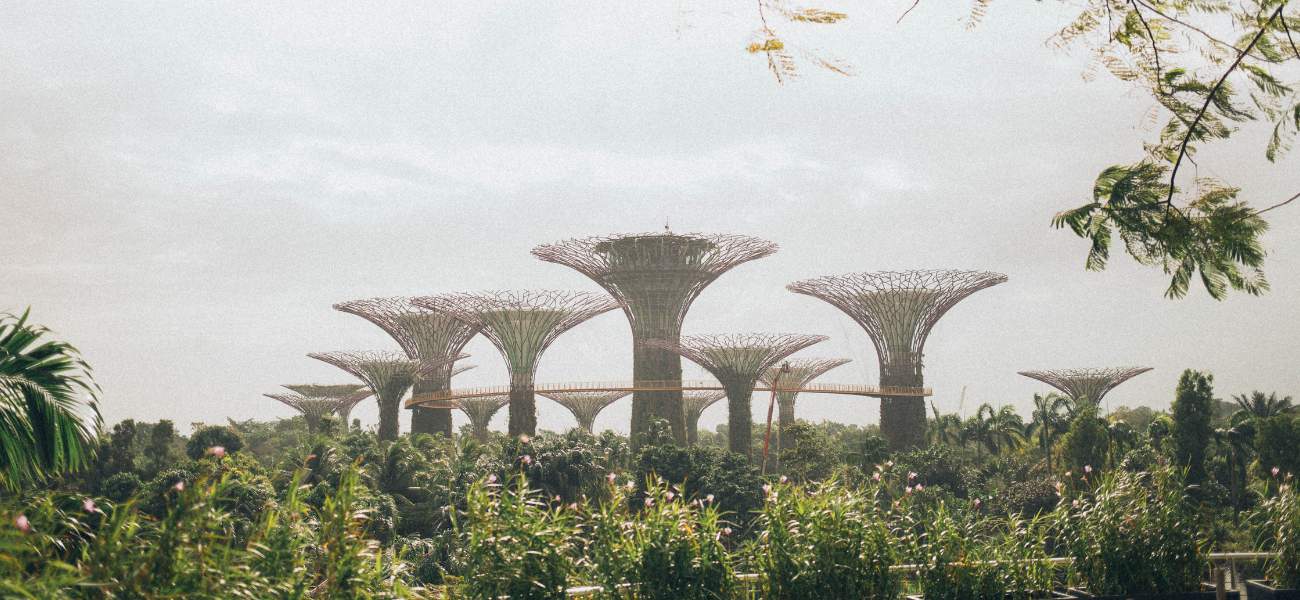 Instagrammable Singapore | A City of Wonders